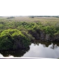 Preserving Southeast Florida's Heritage Sites in the Face of Environmental Challenges