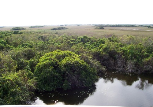 Preserving Southeast Florida's Heritage Sites in the Face of Environmental Challenges